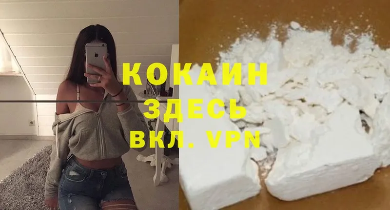 Cocaine Эквадор  кракен зеркало  Лесной 