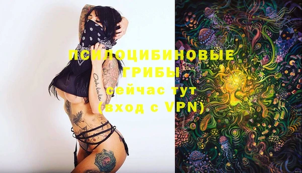 кристаллы Алзамай