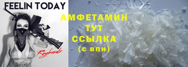 гидра Алексеевка