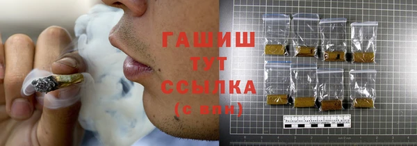 мет Алексин
