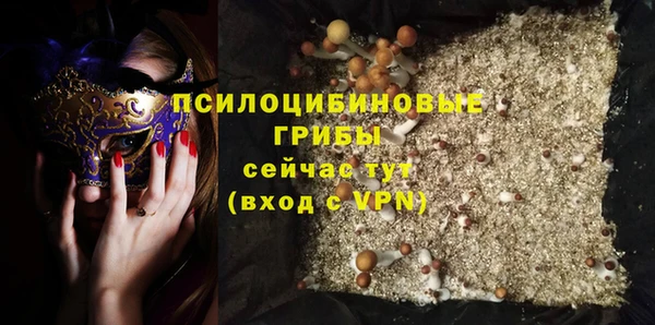 мет Алексин