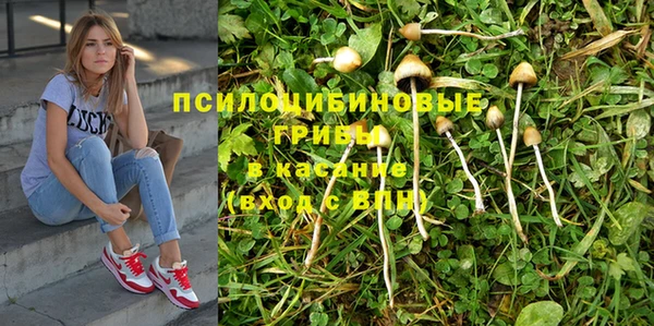 кристаллы Алзамай