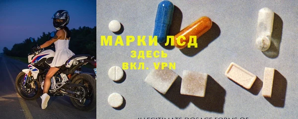 гидра Алексеевка