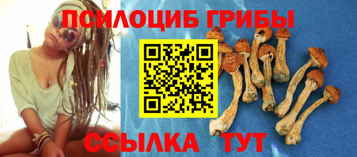 Галлюциногенные грибы Psilocybine cubensis Лесной