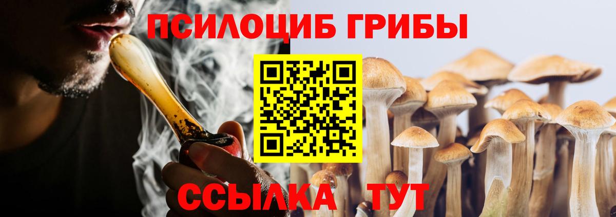 Лесной  Псилоцибиновые грибы GOLDEN TEACHER  Галлюциногенные грибы Psilocybe  Вход с VPN 
